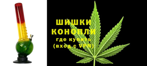 хмурый Лиски