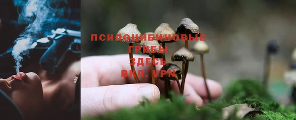 mdma Верхний Тагил