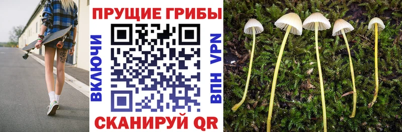 mega ТОР Тарко-Сале Галлюциногенные грибы MAGIC MUSHROOMS купить наркотик